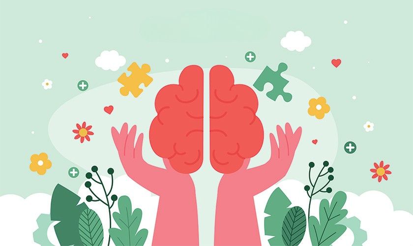 hands cupping a brain hands cupping a brain